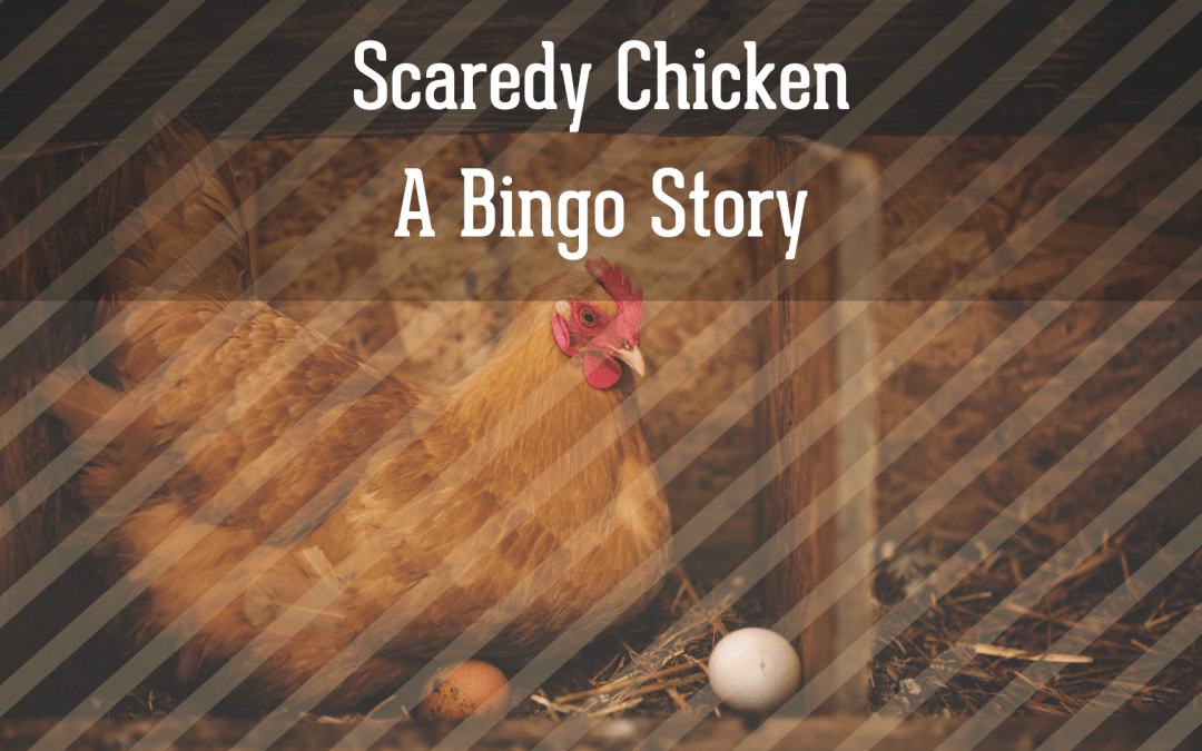 Scaredy Chicken