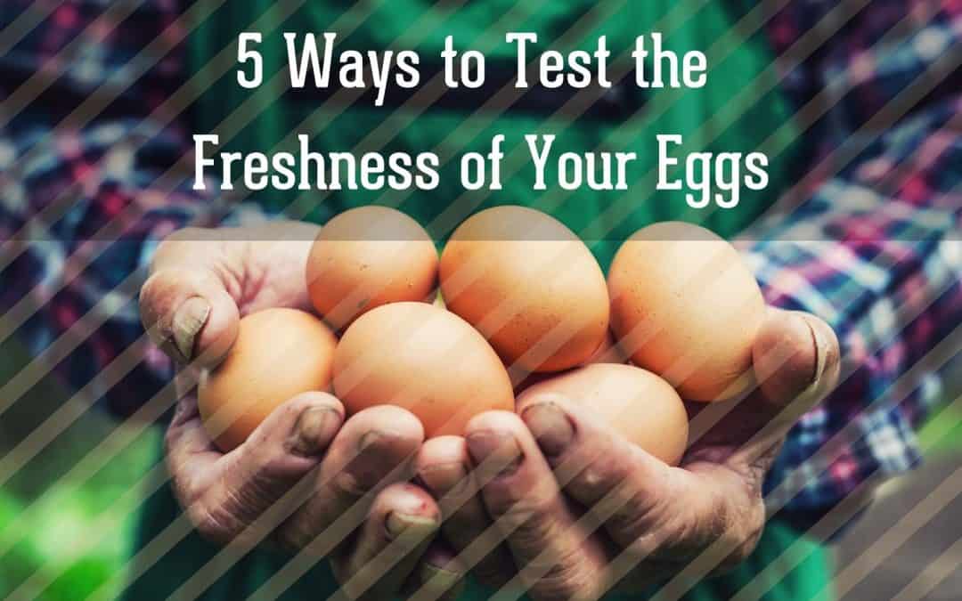 5 Ways to Test the Freshness of Your Eggs